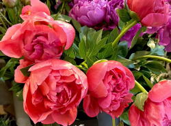 �����񍐎ʐ^