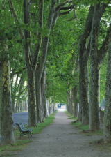 ac �A�_���g�`���h����